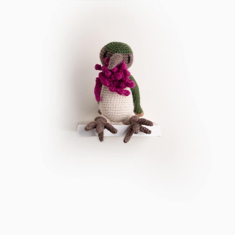 Pedro the Wine-Throated Hummingbird Crochet Pattern